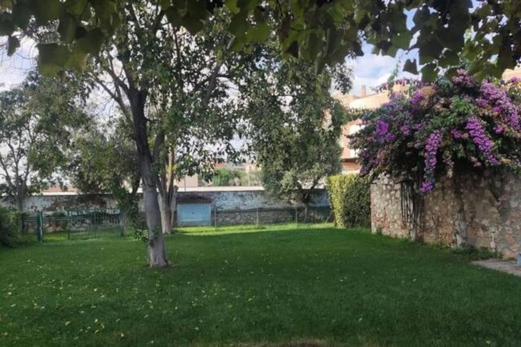 Home Garden Grosseto Luaran gambar